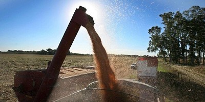 La lupa en los costos: en el momento de la cosecha, aconsejan ajustar cada variable