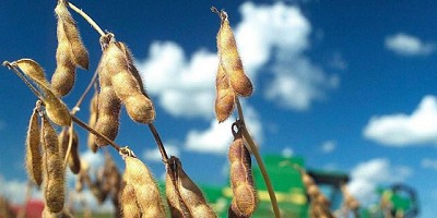 La esperanza alcista del productor versus la realidad, por Pablo Adreani