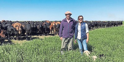 Ganadería intensiva: pasión por el pastoreo racional