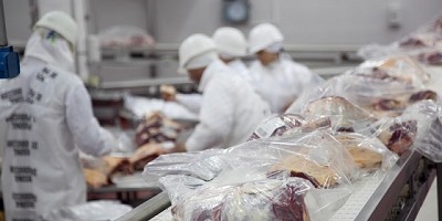 Etchevehere afirmó que el peso mínimo de faena permite mejorar la eficiencia de la actividad