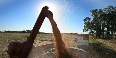 Beneficios impositivos del contrato de maquila