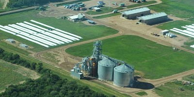 Denuncian que falsificaron cheques de una de las cooperativas agrícolas más grandes del país