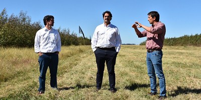 Anunciaron un fondo para promover la innovación forestal en la Provincia