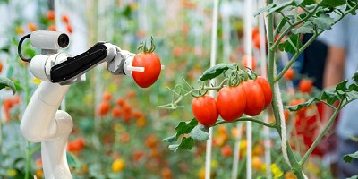 AgTech: con la robotización, el futuro del campo está más cerca