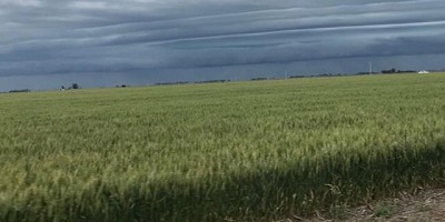 Clima: el escenario es alentador