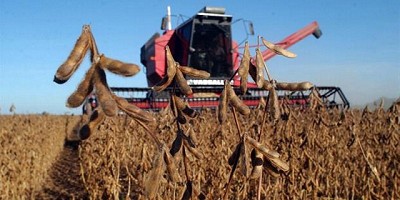 La cosecha de soja suma volumen y altera el mercado, por Eugenio Irazuegui