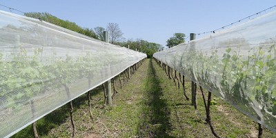 El Gobierno nacional prorrogó beneficios de la ley de malla antigranizo