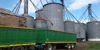 Control de Cartas de Porte en operaciones primarias de granos