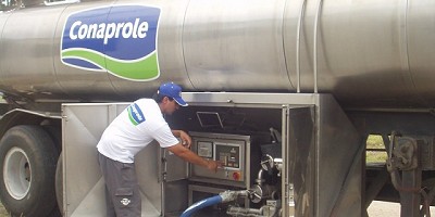 Lacteos: precio de industria cae más que al productor