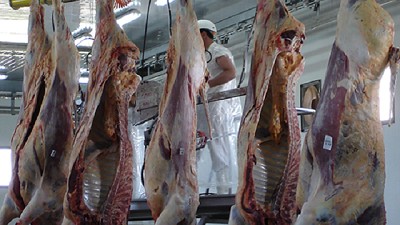 Entre la faena argentina y el fantasma de la liquidación, hay un gran trecho 