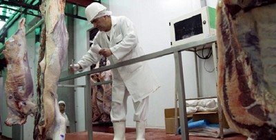 Trabajan en optimizar las condiciones higiénico sanitarias y edilicias de frigoríficos de faena bovina