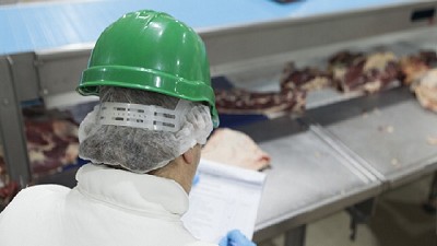 Será obligatorio el cierre de Documentos de Tránsito en plantas de faena