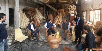 Relevan la producción forestal mimbrera en la Provincia