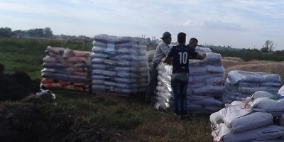 Agroindustria decomisó y destruyó alfalfa transgénica