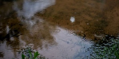 Estiman un trimestre con lluvias y temperaturas por encima de lo normal