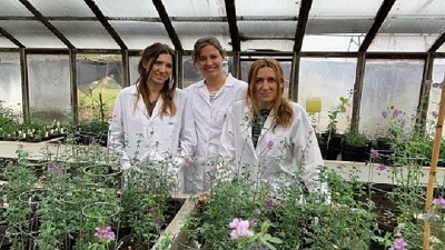 El diseño genético de las plantas marca el futuro de los forrajes