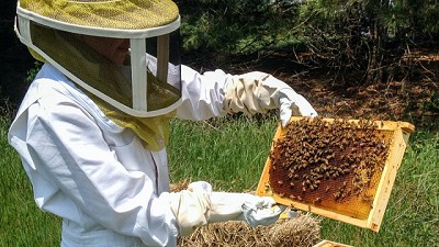 Cooperativas apícolas concretan su primera exportación a Colombia a través de la plataforma Exporta Simple