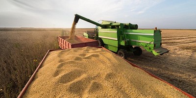 Cosecha gruesa 2018/19: una bocanada de oxígeno para ponerse nuevamente en carrera