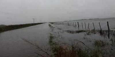 Inundaciones: drama en los campos del norte y en la cuenca lechera de Santa Fe