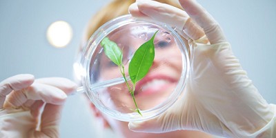 Red INNOVAGRO reunirá a especialistas en bioeconomía circular y ecosistemas de innovación