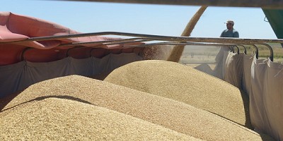 La AFIP y la Secretaría de Gobierno de Agroindustria acordaron adecuar el sistema de liquidación de granos