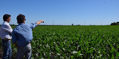 Los rindes también hablan de esfuerzos compartidos