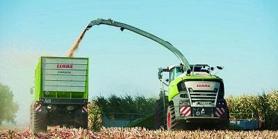 ¿Cómo picar maíz con alto porcentaje de materia seca?