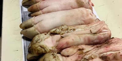 El Senasa decomisó patas de cerdo de ingreso prohibido en resguardo de la salud pública