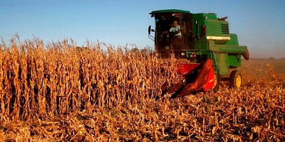 Continuaron creciendo las exportaciones agroindustriales de la Provincia de Buenos Aires en el primer trimestre del año