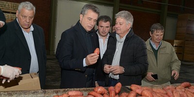 Etchevehere visitó una planta procesadora de batatas que exportará por primera vez a Inglaterra