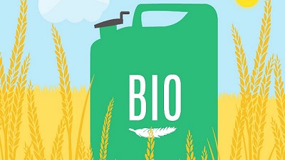 La situación del biodiésel va en picada
