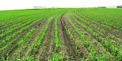 Agricultura de precisión, un viaje a lo profundo del lote