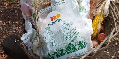 Apuntes para autoproducir las semillas de la huerta