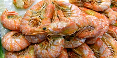 Se reabre el mercado de langostinos a Brasil