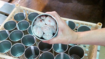 Destinarán $144 millones para la compra de merluza en conserva para abastecer a personas en situación de vulnerabilidad alimentaria