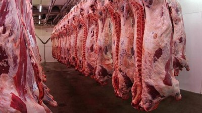 La faena de hembras se mantiene en niveles récord