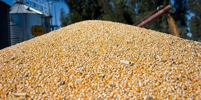 La Agroindustria bonaerense mostró índices destacados en el primer cuatrimestre del año