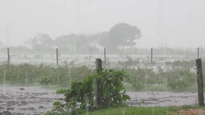 Registro de lluvias caídas el 11 y 12 de junio 
