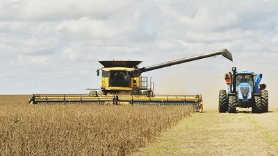 La demora de la cosecha perjudica la calidad de la soja de segunda