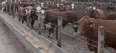 Plazos para regularizar cambios en el Registro de Alimentos con Medicamentos