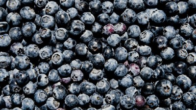 Arándanos, grandes beneficiosos nutricionales en una pequeña fruta