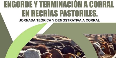 Engorde y terminación a corral en recrías pastoriles