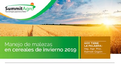 Recomendaciones para el manejo de malezas en cereales de invierno