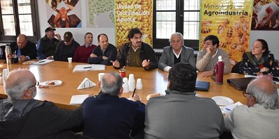 Convocan a productores apícolas a presentar proyectos que financiará el Fondo Rotatorio
