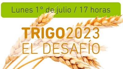 Desafío TRIGO 2023 - Debatiendo con 7 especialistas EN VIVO - HOY Lunes 1/07 - 17 Hrs