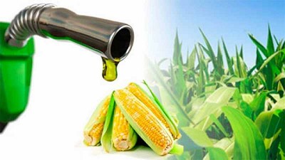 Prductores de etanol de EEUU analizan comprar maíz a Brasil