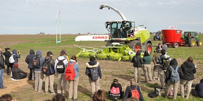 La nutrición animal desde la perspectiva de un cracker