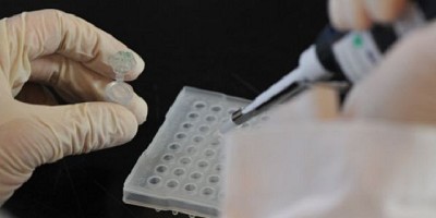 La edición génica y la automatización, ejes de la ganadería del futuro