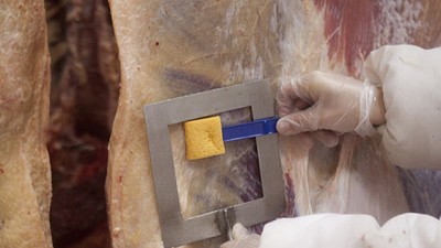 Control a la inocuidad de la carne que llega a la mesa de los consumidores