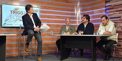 Sarquís: La cadena triguera genera más de 140 mil empleos en la Provincia de Buenos Aires